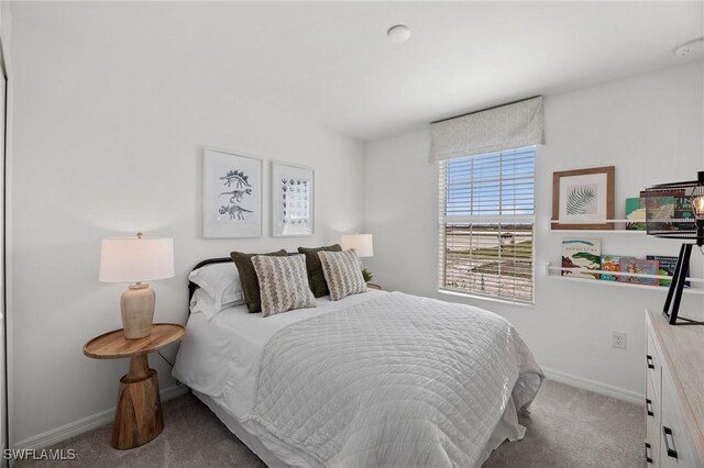 17251 Monte Isola Way N, Fort Myers, FL 33917 - carpeted bedroom featuring baseboards