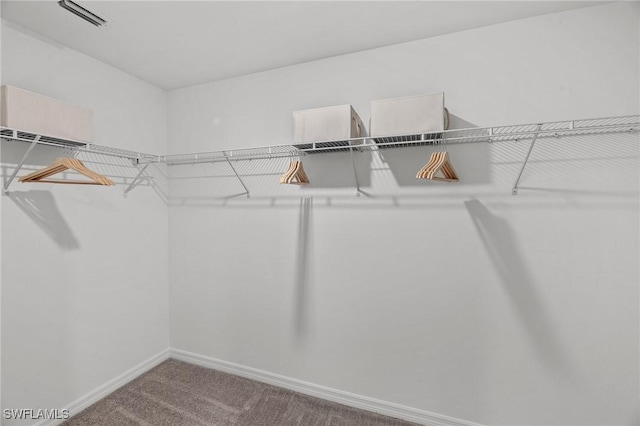 17251 Monte Isola Way N, Fort Myers, FL 33917 - walk in closet with carpet floors