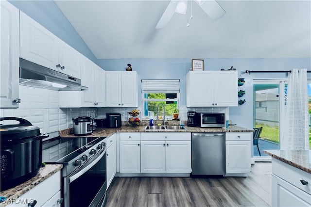 4402 Ruth Ave S, Lehigh Acres, FL 33976 - kitchen featuring stainless steel appliances, under cabinet range hood, dark wood-style floors, white cabinetry, and vaulted ceiling