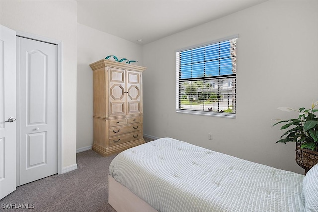 19368 Elston Way, Estero, FL 33928 - carpeted bedroom with baseboards