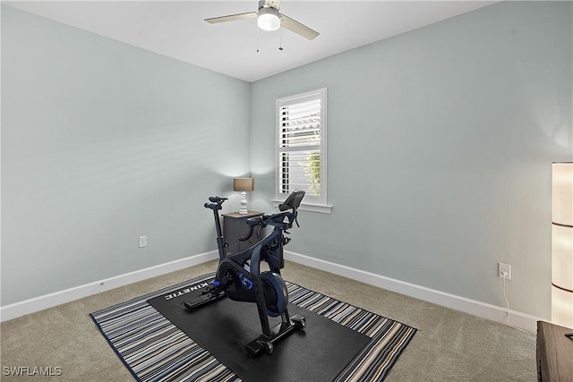 19387 Elston Way, Estero, FL 33928 - exercise area with ceiling fan and carpet flooring