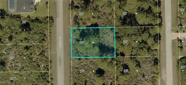 321 Paisley Ave, Lehigh Acres, FL 33974