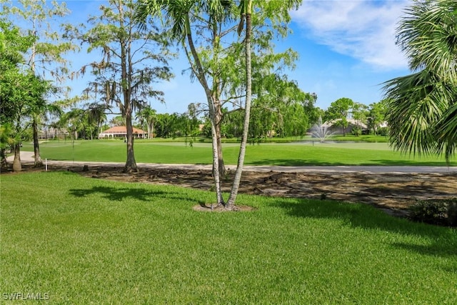 4323 Silver Fox Dr, Naples, FL 34119 - view of home's community with a lawn