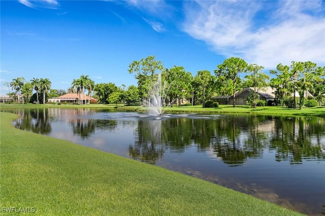 4323 Silver Fox Dr, Naples, FL 34119 - water view