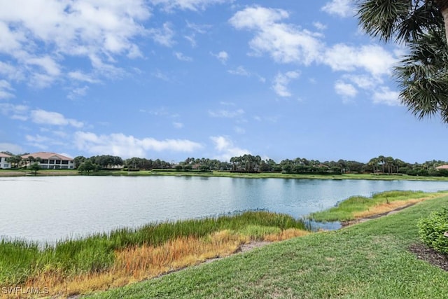 26448 Lucky Stone Rd Unit 202, Bonita Springs, FL 34135 - photo 46