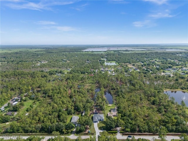3433 66th Ave NE, Naples, FL 34120 - aerial view of property's location with a heavily wooded area and a large body of water