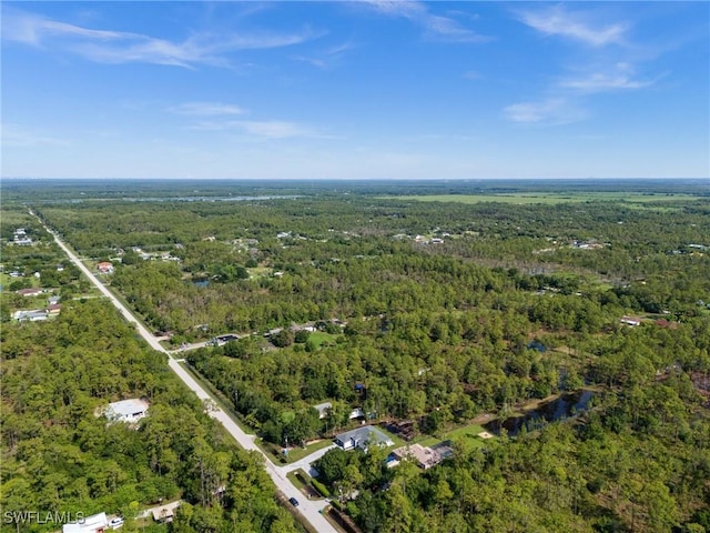 3433 66th Ave NE, Naples, FL 34120 - photo 45
