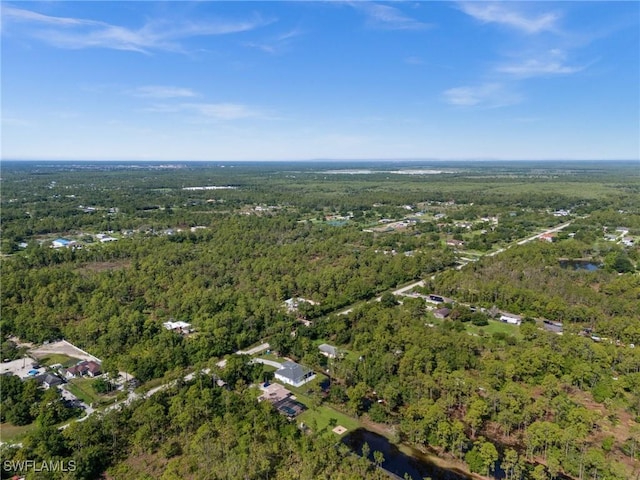 3433 66th Ave NE, Naples, FL 34120 - photo 46