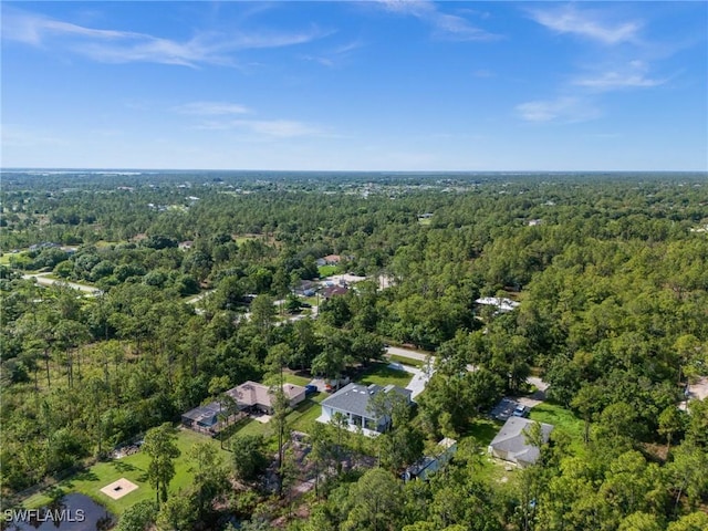 3433 66th Ave NE, Naples, FL 34120 - photo 48