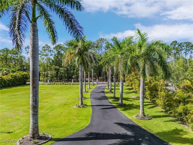 6155 Standing Oaks Ln, Naples, FL 34119 - photo 44