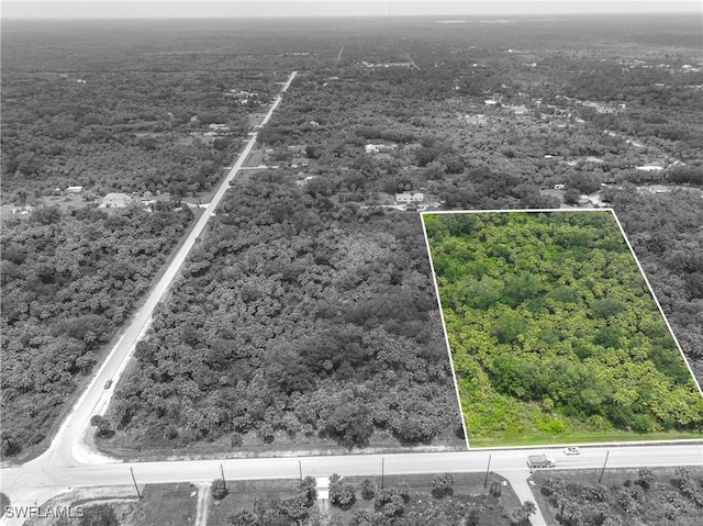 2765 Everglades Blvd S, Naples, FL 34117 - photo 4