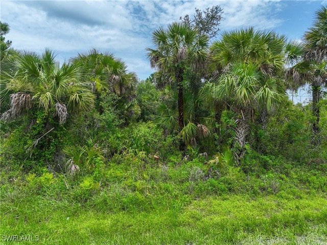 2765 Everglades Blvd S, Naples, FL 34117 - photo 15