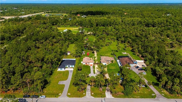 1271 16th St NE, Naples, FL 34120 - view of property location featuring a forest