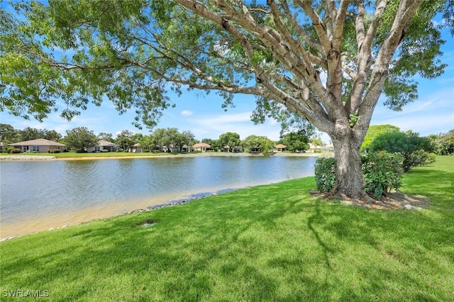 6956 Lone Oak Blvd, Naples, FL 34109 - water view
