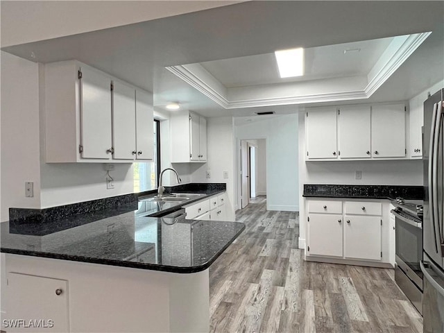 625 SE 35th Ter, Cape Coral, FL 33904 - kitchen featuring a raised ceiling, stainless steel electric stove, light wood finished floors, white cabinetry, and ornamental molding