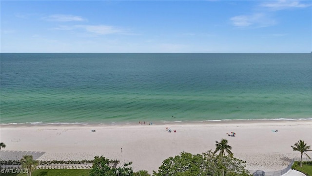 3400 Gulf Shore Blvd N Unit K2, Naples, FL 34103 - photo 40