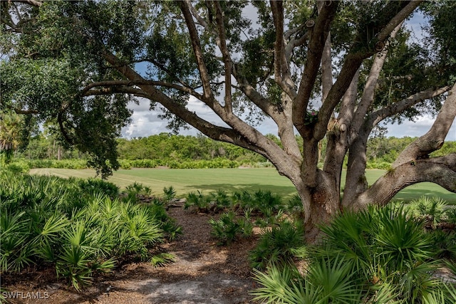 1150 Dimock Ln, Naples, FL 34110 - photo 5