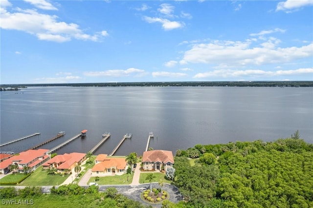 6120 River Shore Ct, North Fort Myers, FL 33917 - photo 43
