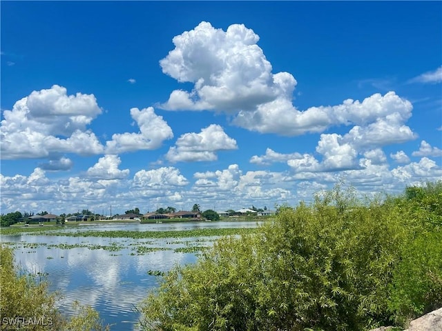 319 NW 11th Ter, Cape Coral, FL 33993