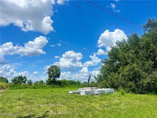 319 NW 11th Ter, Cape Coral, FL 33993