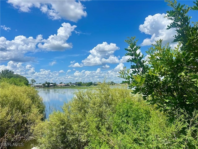 319 NW 11th Ter, Cape Coral, FL 33993