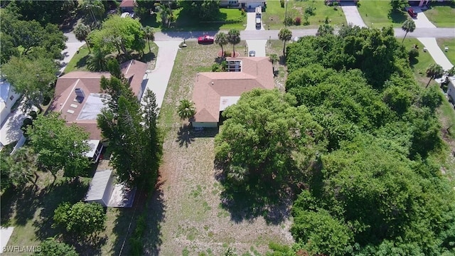 313 Cleveland Ave, Lehigh Acres, FL 33936 - photo 5