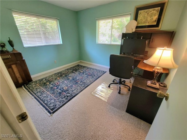 313 Cleveland Ave, Lehigh Acres, FL 33936 - photo 41