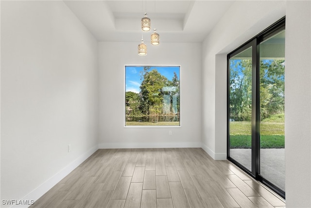 1159 SW 5th Ter, Cape Coral, FL 33991 - unfurnished room featuring a raised ceiling, plenty of natural light, and wood finished floors