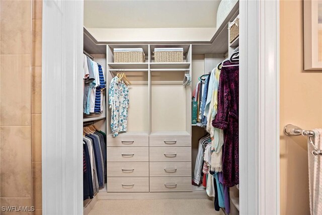 7773 Jacaranda Ln, Naples, FL 34114 - view of walk in closet