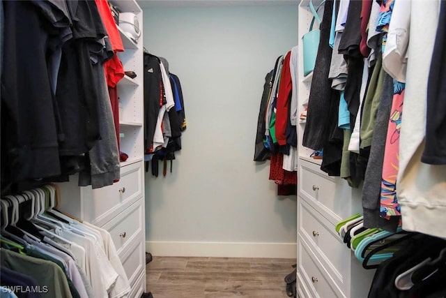 8849 Somerset Blvd, Fort Myers, FL 33919 - walk in closet with light wood-type flooring