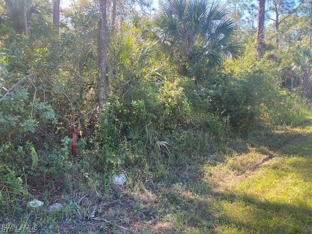 Shady Hollow Blvd E, Naples, FL 34120