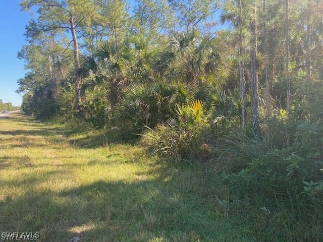 Shady Hollow Blvd E, Naples, FL 34120