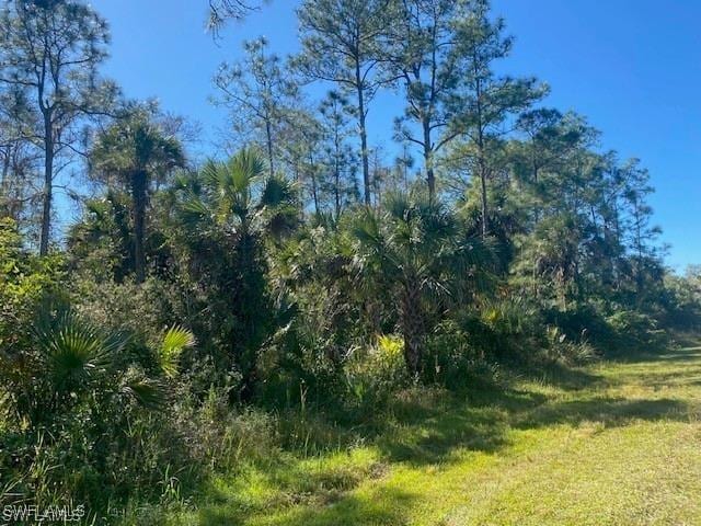 Shady Hollow Blvd E, Naples, FL 34120