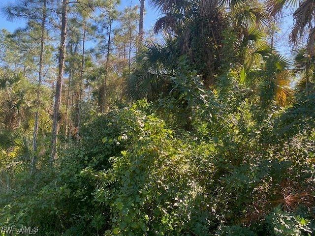 Shady Hollow Blvd E, Naples, FL 34120