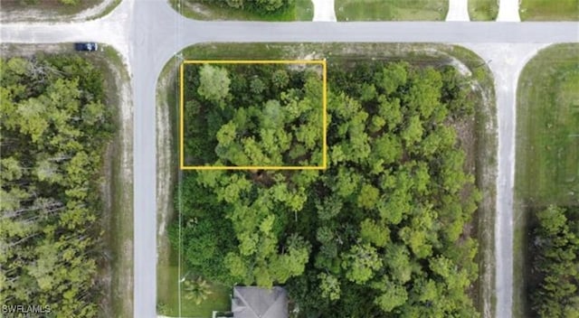 209 Woodburn Dr, Lehigh Acres, FL 33972 - photo 2