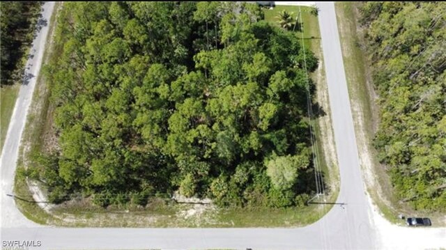 209 Woodburn Dr, Lehigh Acres, FL 33972 - photo 4
