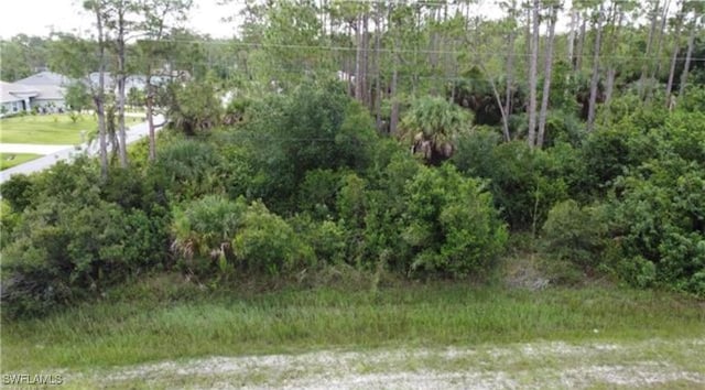 209 Woodburn Dr, Lehigh Acres, FL 33972 - photo 5