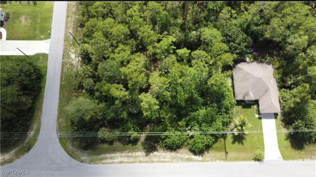 209 Woodburn Dr, Lehigh Acres, FL 33972 - photo 7