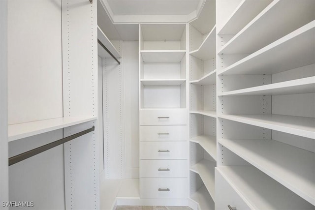 12980 Positano Cir Unit 306, Naples, FL 34105 - view of walk in closet