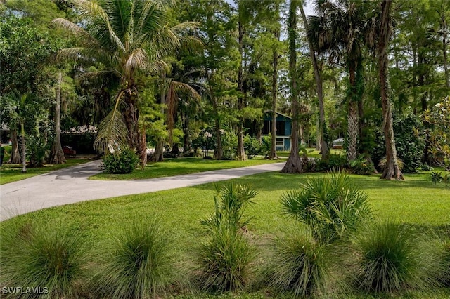 3795 17th Ave SW, Naples, FL 34117 - photo 37