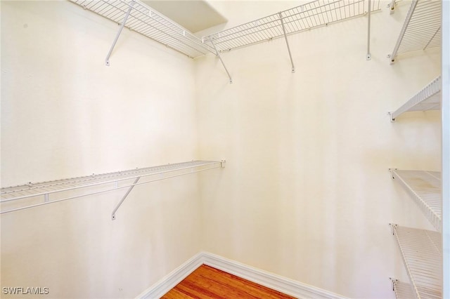 3206 SW 4th Ln, Cape Coral, FL 33991 - walk in closet featuring light wood-type flooring