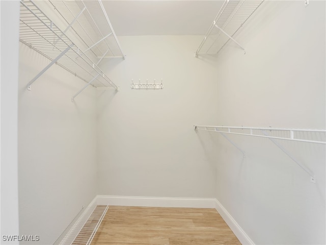 1492 La Petite Ct, Naples, FL 34104 - walk in closet with light wood-type flooring
