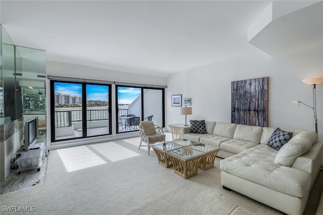 210 La Peninsula Blvd Unit 210, Naples, FL 34113 - living area featuring carpet