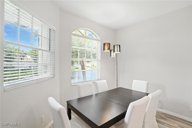 1000 L Ambiance Cir Unit 205, Naples, FL 34108 - dining room with light wood-style flooring and baseboards