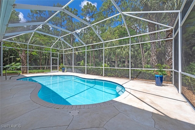 13915 Collier Blvd, Naples, FL 34119 - swimming pool with a patio area and a lanai