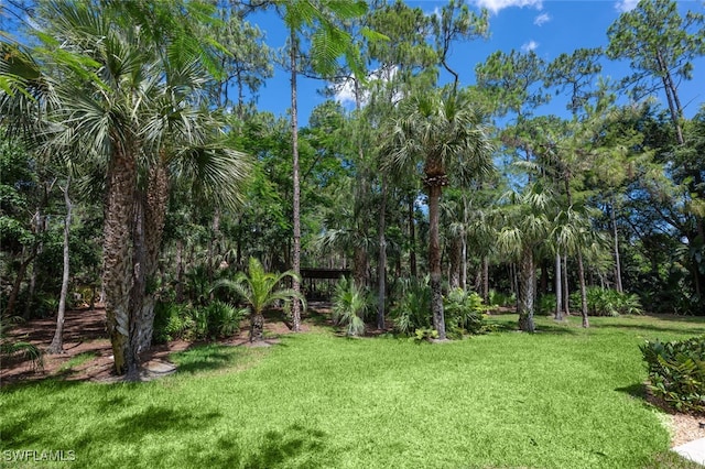 13915 Collier Blvd, Naples, FL 34119 - view of grassy yard