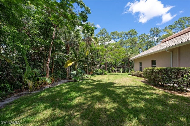 13915 Collier Blvd, Naples, FL 34119 - view of green lawn
