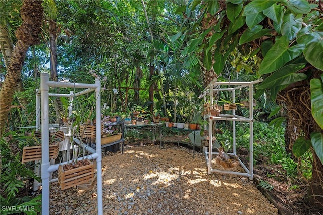 13915 Collier Blvd, Naples, FL 34119 - view of yard