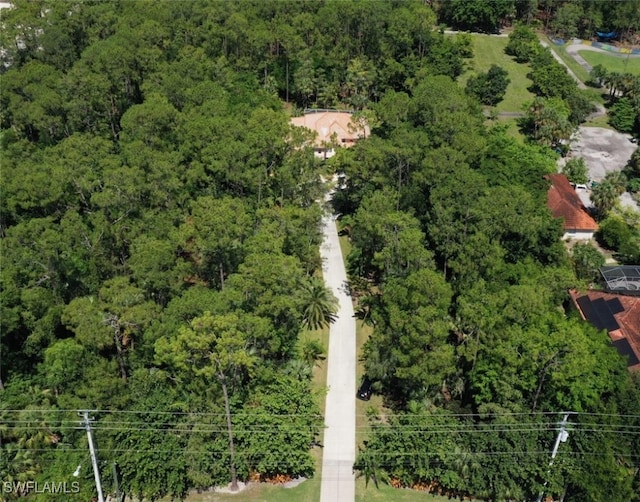 13915 Collier Blvd, Naples, FL 34119 - bird's eye view of a heavily wooded area