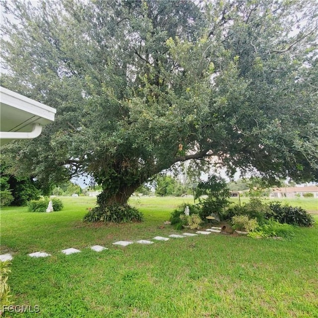 1101 E Jasmine Rd, Lehigh Acres, FL 33936 - photo 19